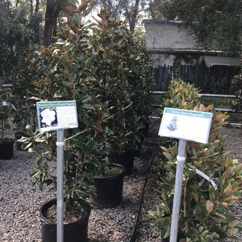 Kerby's Nursery - Nurseries & Gardening Near Me - Seffner, Florida