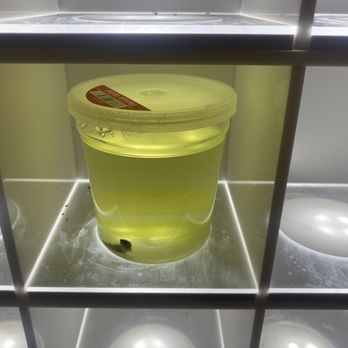 PetSmart Grooming - Dying Betta Fish - Pet Stores Near Me - Folsom, California