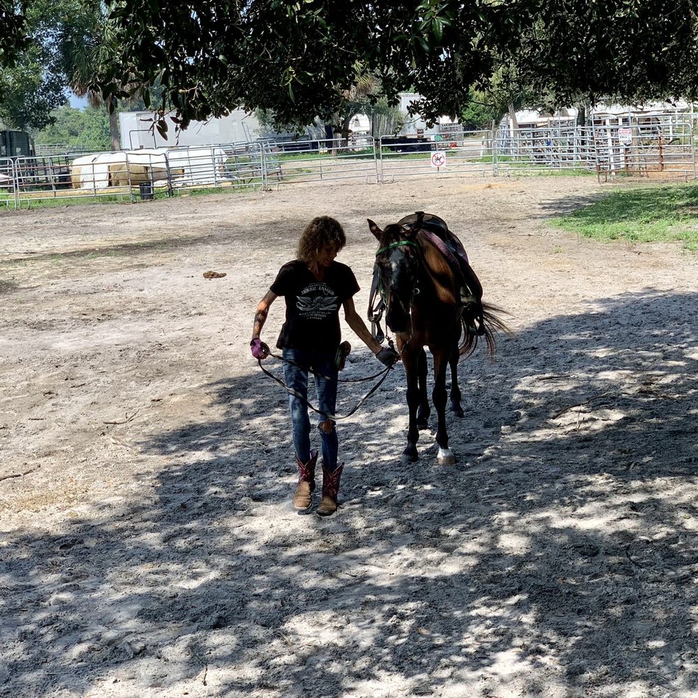 Sun City Stables - Mary bringing out our horses. - Horseback Riding Near Me - Sun City, Florida