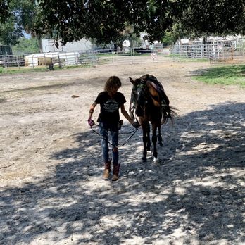 Sun City Stables - Mary bringing out our horses. - Horseback Riding Near Me - Sun City, Florida