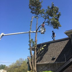 Pentecost Tree Service
