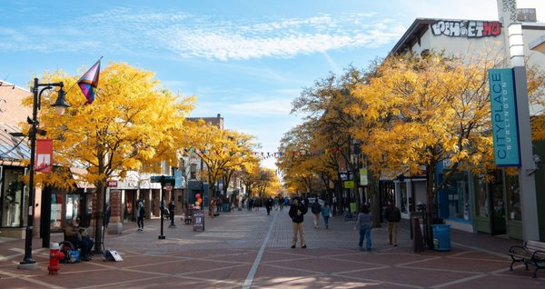 Church Street Marketplace by null