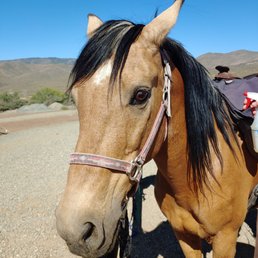 handsome Jesse before our ride handsome Jesse before our ride