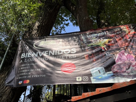 Los Ahuehuetes by null