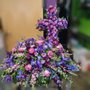 Expressions In Bloom Fine Flowers