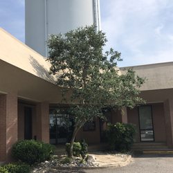 LWSS Family Dentistry