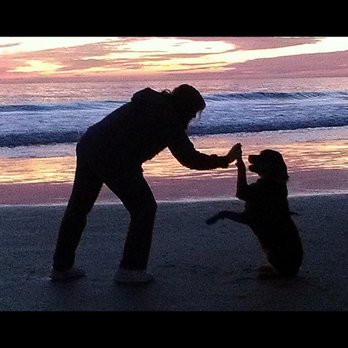 K9 an me - Good girl ! - Pet Training Near Me K9 an me - Good girl ! - Pet Training Near Me