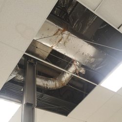 Mega Mushroom Mechanical