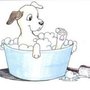 Photo of For Pets Sake Mobile Grooming