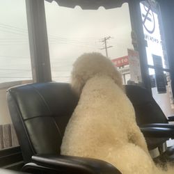Leggett's Tire & Auto Service