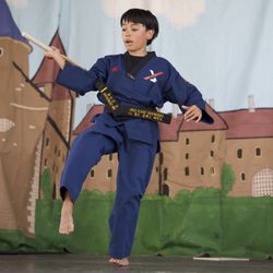 US World Class Taekwondo - Photo Taken By Damian Alcolea.
Sherwood Robin Hood Festival