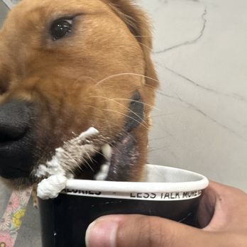 Afters Ice Cream - Ice Cream & Frozen Yogurt Near Me - Oxnard, California