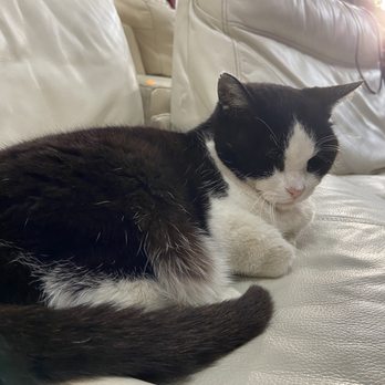 Urban Ore - Sleepy! - Home & Garden Near Me - Berkeley, California