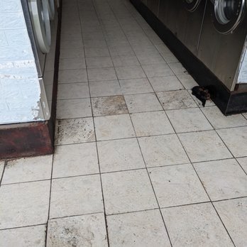 Launderland Coin-op Laundry - Filth - Laundromat Near Me - El Cerrito, California Launderland Coin-op Laundry - Filth - Laundromat Near Me - El Cerrito, California