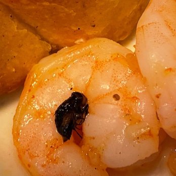 Hibachi Grill & Buffet - shrimp and cornbreads - Chinese Near Me - Baytown, Texas Hibachi Grill & Buffet - shrimp and cornbreads - Chinese Near Me - Baytown, Texas