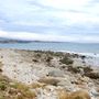 Photo of El Capitan State Beach