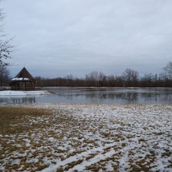 Tipton park - Dock pond