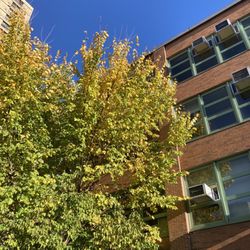 Jackie Robinson Education Complex - 10/29/22