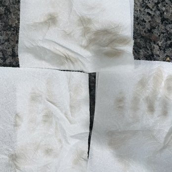 NSync Solutions - The same day the house was cleaned, spot testing different floor areas of kitchen and bathroom floor. All were dirty. - Office Cleaning Near Me NSync Solutions - The same day the house was cleaned, spot testing different floor areas of kitchen and bathroom floor. All were dirty. - Office Cleaning Near Me