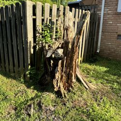 Claiborne Services - Stump removal job May 2024 in Franklin,TN.