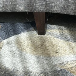 Spider web under lobby couch