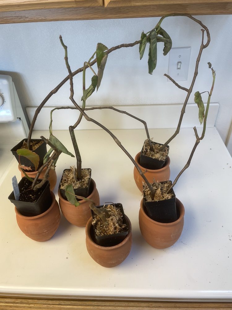 GLASSHOUSE WORKS Updated August 2024 21 Reviews 8950 State Route