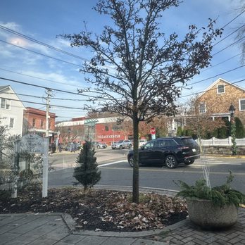 Local's Cafe - View - Cafes Near Me - Port Jefferson, New York Local's Cafe - View - Cafes Near Me - Port Jefferson, New York
