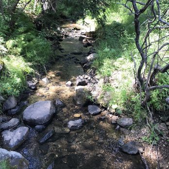 Black Hills National Forest - Creek. - Parks Near Me - Custer, South Dakota Black Hills National Forest - Creek. - Parks Near Me - Custer, South Dakota