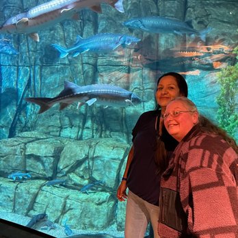 Downtown Aquarium - Museums Near Me - Denver, Colorado Downtown Aquarium - Museums Near Me - Denver, Colorado