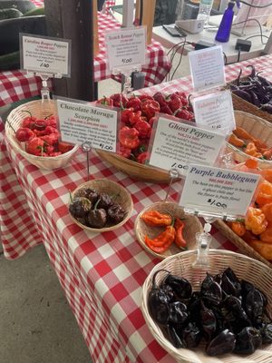 Ann Arbor Farmers Market by null