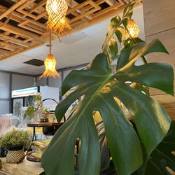 Kabayan Kusina - Love these light fixtures that resemble pineapples.
