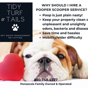 Tidy Turf & Tails - Tidy Turf & Tails
Pet Waste Management
Pet Sitting
Pensacola Family Owned & Operated
Pooper Scooper - Pet Sitting Near Me - Pensacola, Florida Tidy Turf & Tails - Tidy Turf & Tails
Pet Waste Management
Pet Sitting
Pensacola Family Owned & Operated
Pooper Scooper - Pet Sitting Near Me - Pensacola, Florida