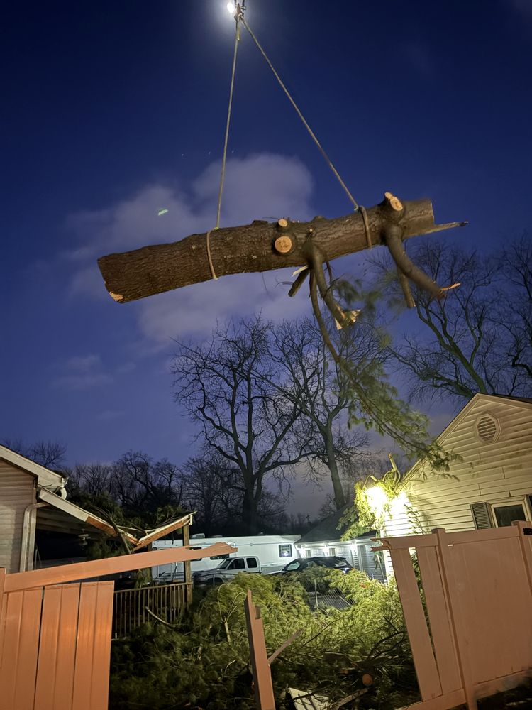 Jake’s Climbing & Tree Service - tree service in Washington, IL