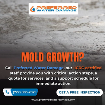 Preferred Water Damage - Damage Restoration Near Me - Palm Harbor, Florida Preferred Water Damage - Damage Restoration Near Me - Palm Harbor, Florida