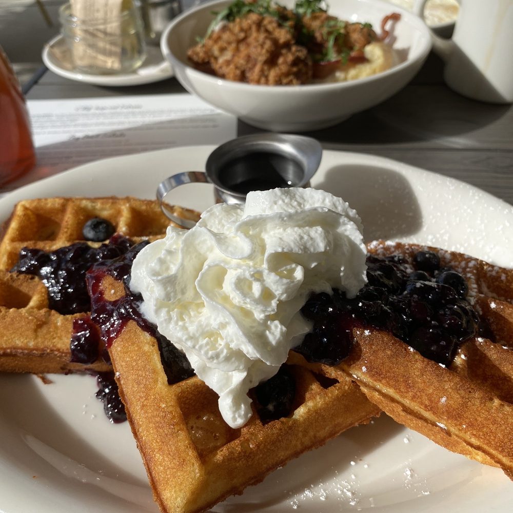 Tupelo Honey Southern Kitchen & Bar - Mountain Blueberry Buttermilk Waffle - Southern Near Me - Upper Arlington, Ohio Tupelo Honey Southern Kitchen & Bar - Mountain Blueberry Buttermilk Waffle - Southern Near Me - Upper Arlington, Ohio