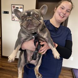 Premier Veterinary Care