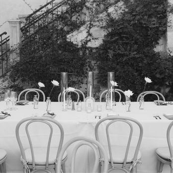 Lovely Peonies Floral Design - reception flowers - Florists Near Me Lovely Peonies Floral Design - reception flowers - Florists Near Me