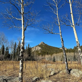 Golden Gate Canyon State Park - Horseshoe Trail (2/5/26) - Hiking Near Me - Golden, Colorado Golden Gate Canyon State Park - Horseshoe Trail (2/5/26) - Hiking Near Me - Golden, Colorado