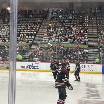 Tucson Roadrunners Hockey - Amateur Sports Teams Near Me - Tucson, Arizona