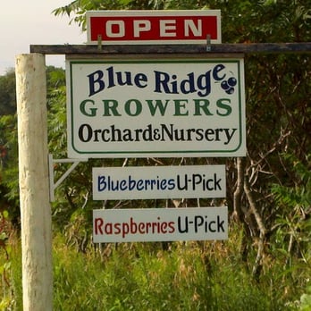 Blue Ridge Growers - Blue Ridge Growers Road Sign - Arts & Crafts Near Me - River Falls, Wisconsin