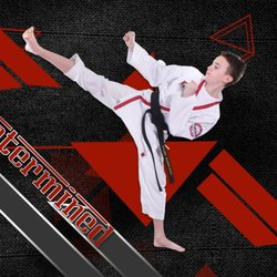 Eldridge's. ATA Martial Arts - Taekwondo Picture Day