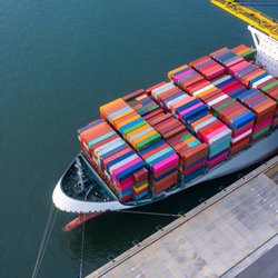 Fast Customs Clearance