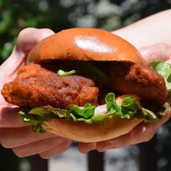 Bánh Mì Ơi- West Roxbury - Specialty Sandwich: Banh Mi Oi x Nashville Style Hot Chicken