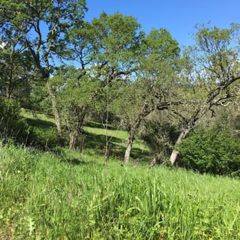 Skyline Wilderness Park - Parks Near Me - Napa, California
