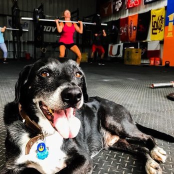 Rig Dog Athletics - Interval Training Gyms Near Me - Houston, Texas Rig Dog Athletics - Interval Training Gyms Near Me - Houston, Texas