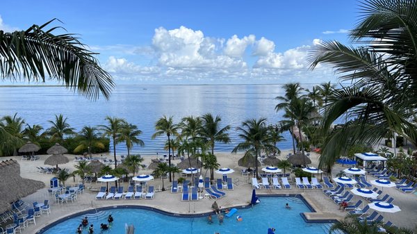 Reefhouse Resort & Marina by null