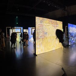 Elite Event: Beyond Van Gogh - Continuing history of Vincent and Theo