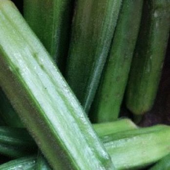 Marsh - Fresh okra! - Cafes Near Me - St. Louis, Missouri Marsh - Fresh okra! - Cafes Near Me - St. Louis, Missouri