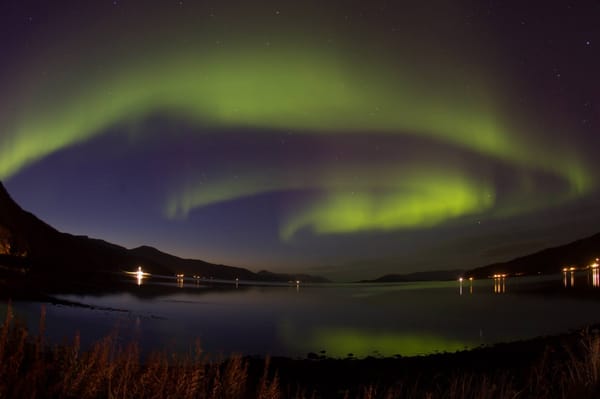 Chasing Lights by null