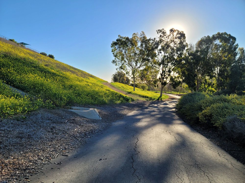 MADRUGADA TRAIL Updated July 2024 47 Photos 2501 Madrugada Dr